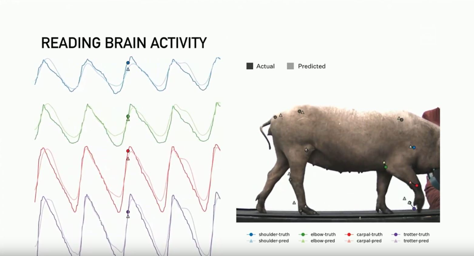 كل ما تحتاج لمعرفته عن شريحة "نيورالينك" Neuralink المستقبلية من إيلون ماسك